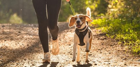 woman running along a dirt trail with her dog