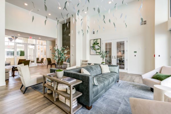 Indoor clubhouse area with couches, lounge seating, plant decor and wood-style flooring