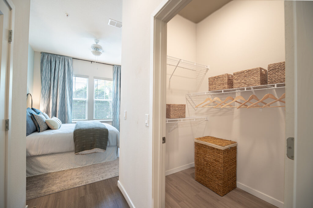 A bedroom with a bed, blue and gray bedding, large windows with curtains, and a ceiling fan, viewed from a hallway next to a walk-in closet with baskets, hangers, and a laundry hamper on shelves.