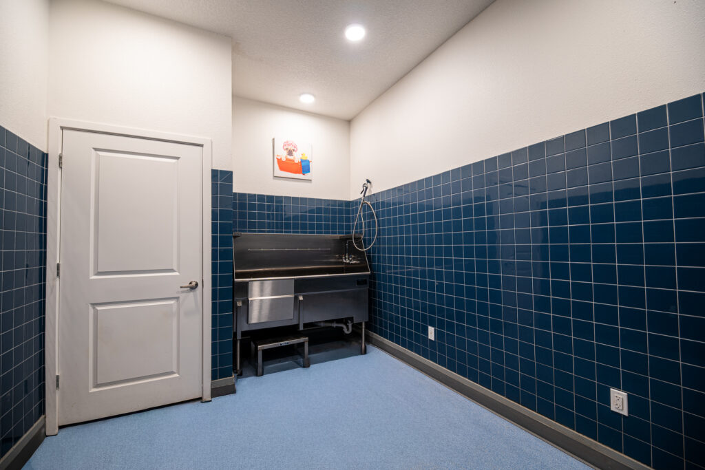 A clean room with blue tiled walls and light blue floor, featuring a white door, a large stainless steel sink with a sprayer, and a colorful dog artwork hanging above the sink.